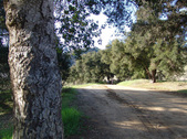 Enlarge photo 117