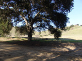 Enlarge photo 118