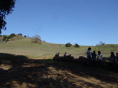 Enlarge photo 119