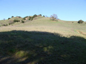 Enlarge photo 121