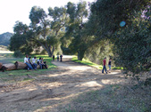 Enlarge photo 124
