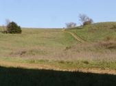 Enlarge photo 125