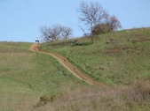 Enlarge photo 126