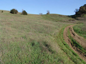 Enlarge photo 129