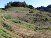 Enlarge photo 130