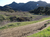 Enlarge photo 131