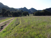 Enlarge photo 132