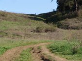 Enlarge photo 133