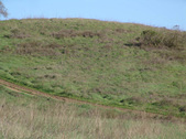 Enlarge photo 134