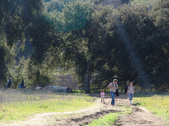 Enlarge photo 135