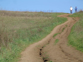 Enlarge photo 137