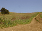Enlarge photo 138