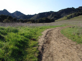 Enlarge photo 139