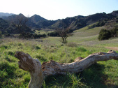Enlarge photo 141