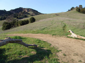 Enlarge photo 142