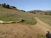 Enlarge photo 143