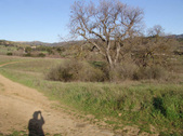 Enlarge photo 144
