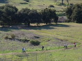 Enlarge photo 145