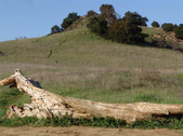 Enlarge photo 146