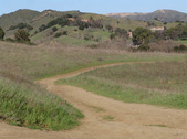Enlarge photo 147