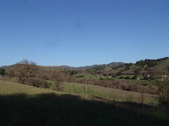 Enlarge photo 149