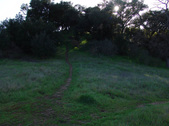 Enlarge photo 152