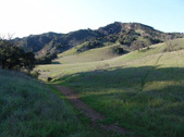 Enlarge photo 153