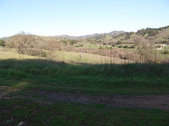 Enlarge photo 155