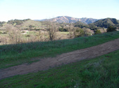 Enlarge photo 156