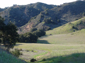 Enlarge photo 157