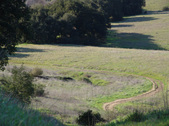 Enlarge photo 158