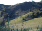 Enlarge photo 159