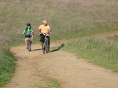 Enlarge photo 160