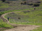 Enlarge photo 163