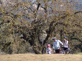 Enlarge photo 166