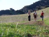 Enlarge photo 176