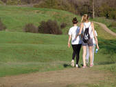 Enlarge photo 183