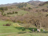 Enlarge photo 184