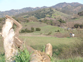 Enlarge photo 187