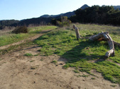 Enlarge photo 188