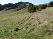 Enlarge photo 191