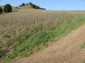 Enlarge photo 192