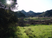 Enlarge photo 193