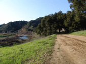 Enlarge photo 194