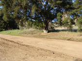 Enlarge photo 195