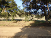 Enlarge photo 196