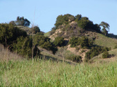 Enlarge photo 197