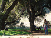 Enlarge photo 198