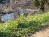 Enlarge photo 199