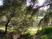 Enlarge photo 201